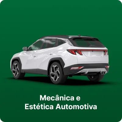 Mecanica e estetica automotiva